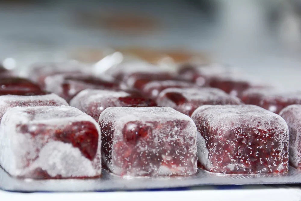 Frozen/ Live Food