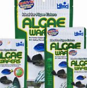 Hikari Algae Wafers