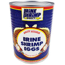 Premium Grade Brine Shrimp Eggs