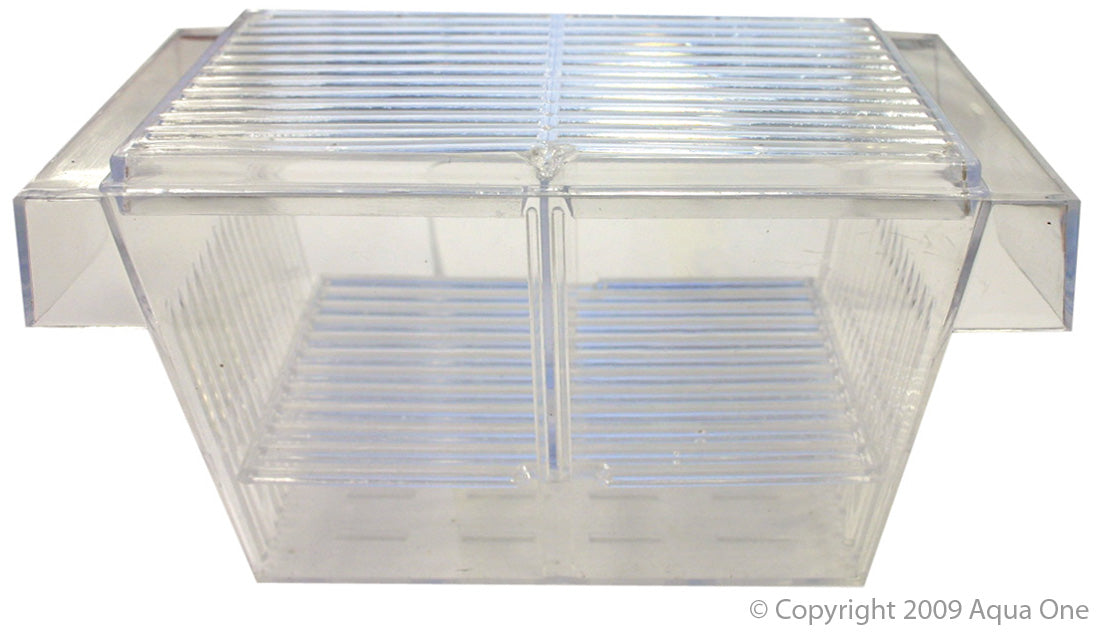 Breeder Box