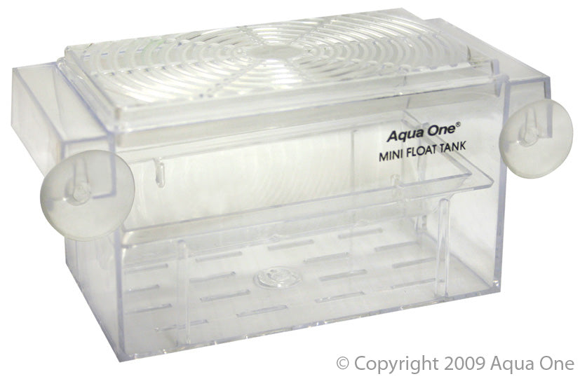 Breeder Box
